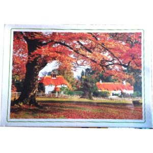 Puzzle 1000 pieces – Campagne automne