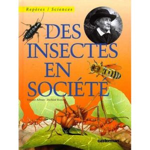 Des insectes en société   –    Casterman